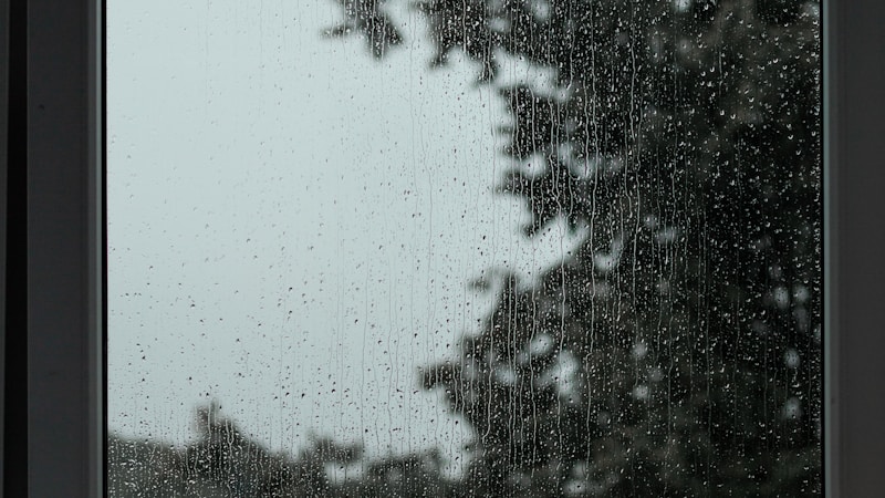 梅雨を心地よく過ごすコツまとめ｜おうち時間も外出も楽しくなる簡単アイデア集