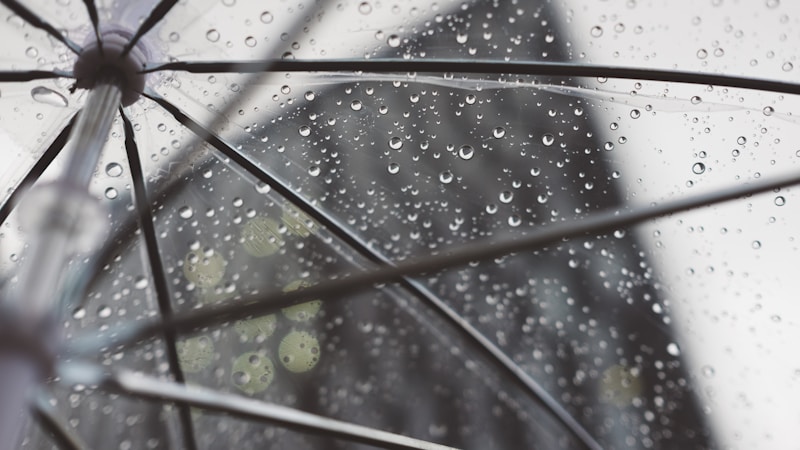 梅雨を心地よく過ごすコツまとめ｜おうち時間も外出も楽しくなる簡単アイデア集
