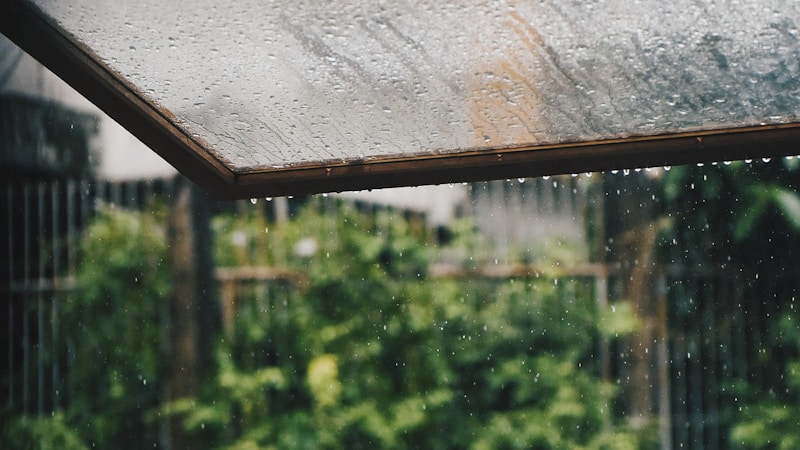 梅雨を心地よく過ごすコツまとめ｜おうち時間も外出も楽しくなる簡単アイデア集